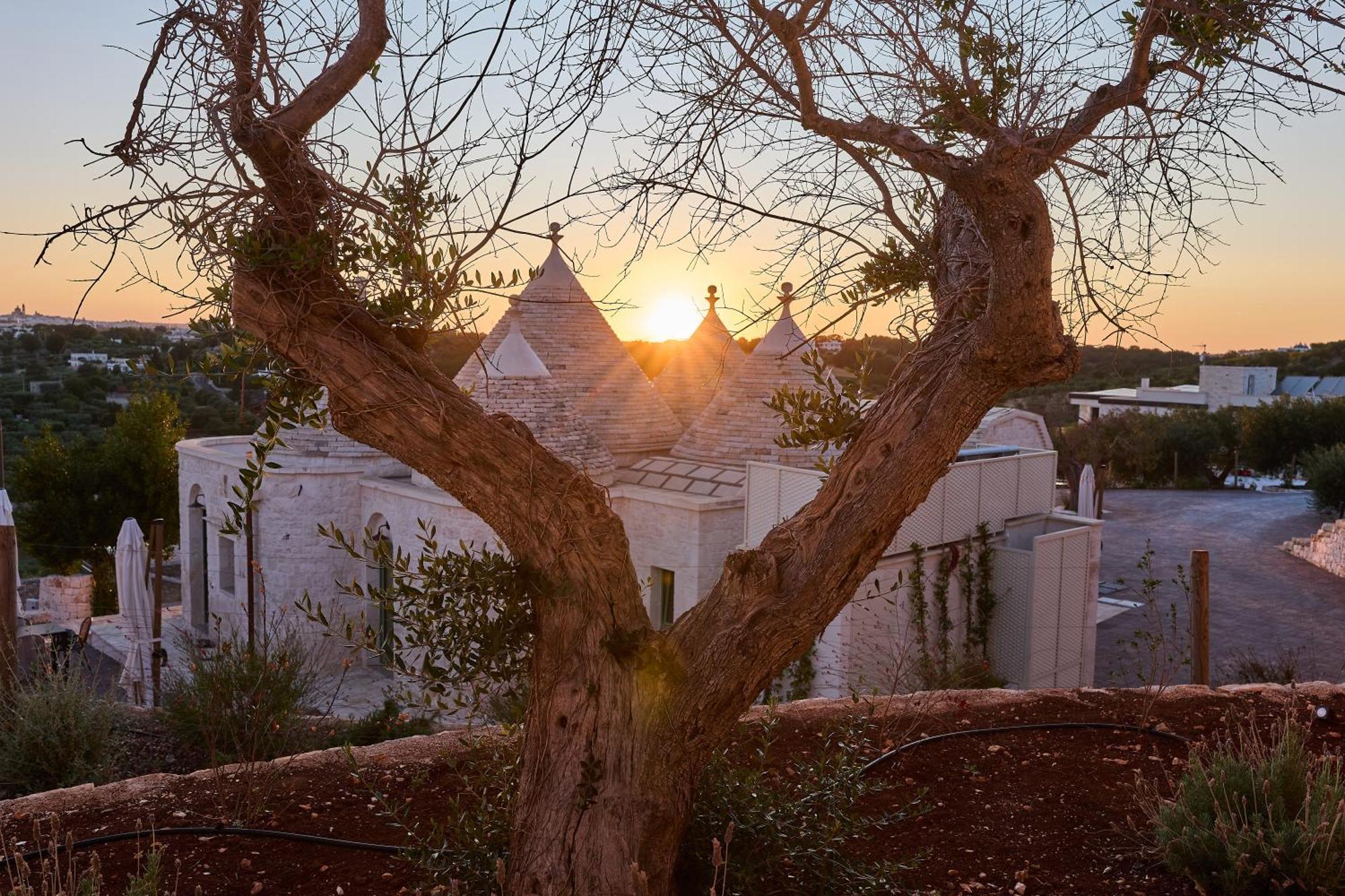 Trulli Mbs By Apulia Hospitality Διαμέρισμα Locorotondo Εξωτερικό φωτογραφία