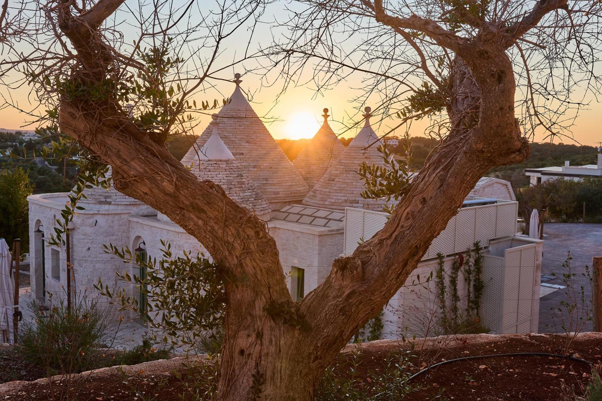 Trulli Mbs By Apulia Hospitality Διαμέρισμα Locorotondo Εξωτερικό φωτογραφία
